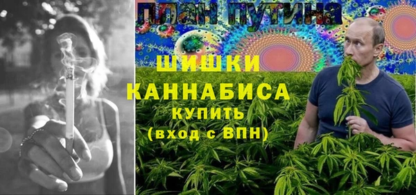 spice Богородск
