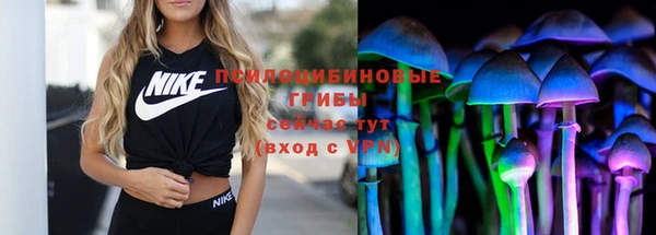 spice Богородск