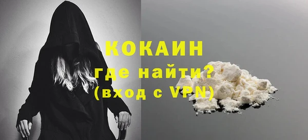 молекула духа Бородино