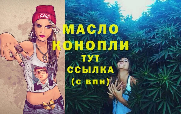 spice Богородск