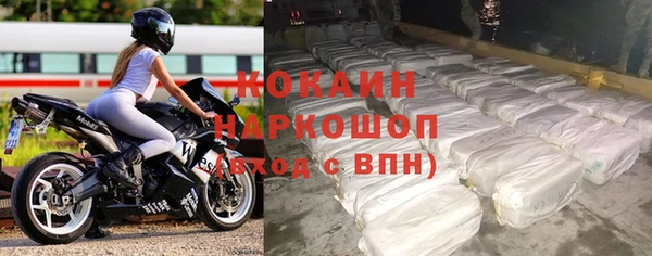 spice Богородск