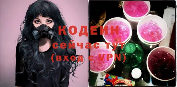 молекула духа Бородино