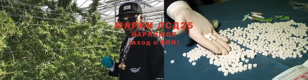 spice Богородск
