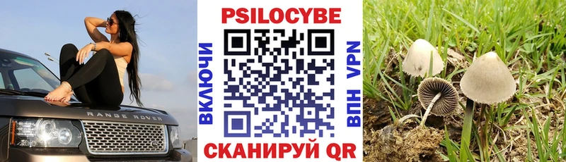 купить наркоту  Козловка  Галлюциногенные грибы GOLDEN TEACHER 